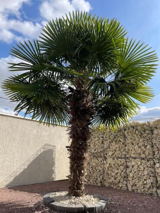 5 Min Airport Aeroport - Shuttle Navette - Parking Apartment Bonlier Exterior foto